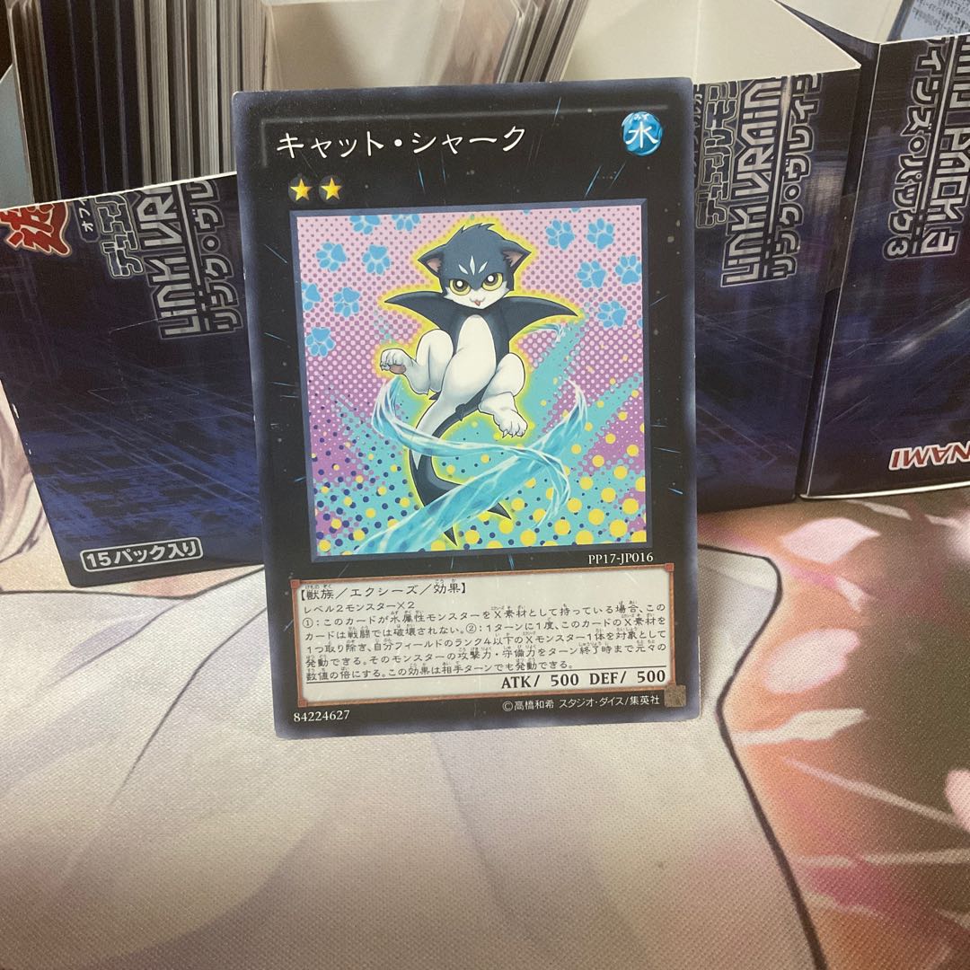 Catshark Normal 1 piece