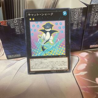 Catshark Normal 1 piece