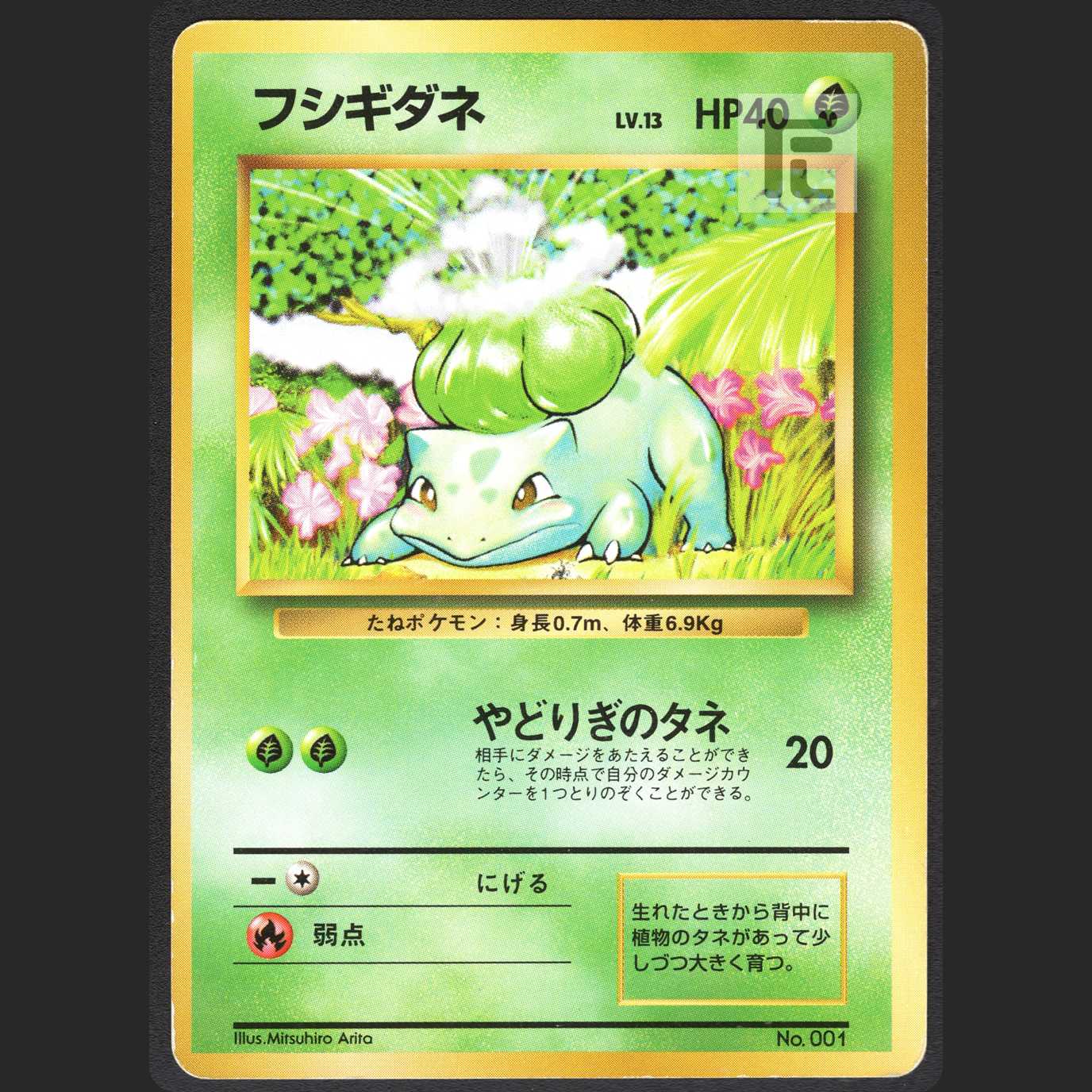 Bulbasaur LV.13 [puer] old back, unmarked/managed by MP0979