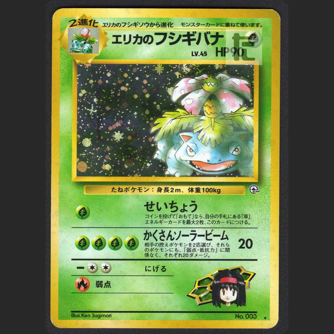 Erika's Venusaur LV.45 [Plaid] old back/admin: MP1040