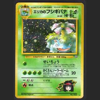 Erika's Venusaur LV.45 [Plaid] old back/admin: MP1040