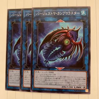 Paleozoic Cambroraster Normal