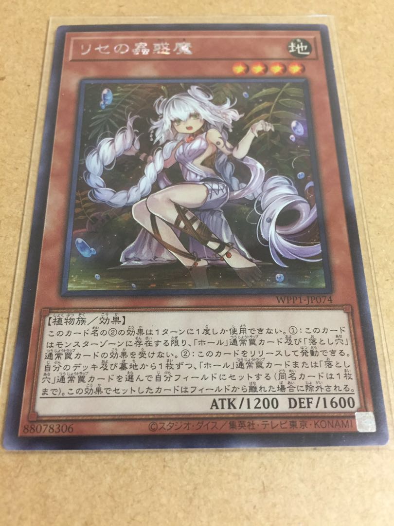 (for) the exclusive use of Bako