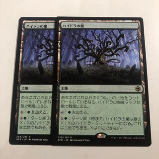 Lair of the Hydra 2 copies