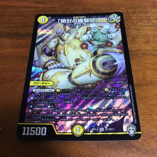 Knight of the Shield of the Absolute."