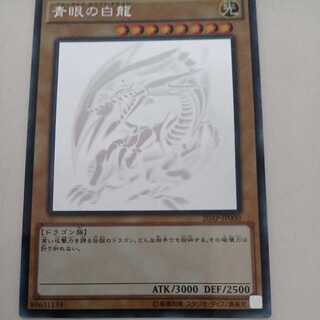 Beautiful Snubbull Eyes Ho Wight Dragon