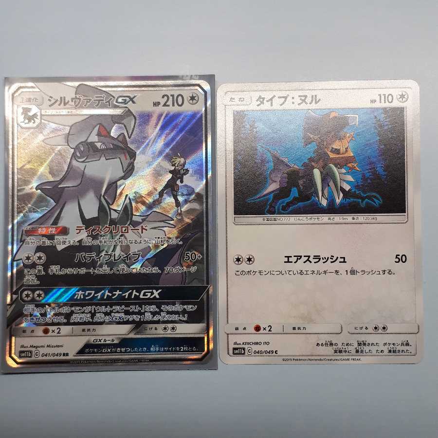 シルヴァディgxセット