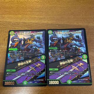 Eight-headed Dragon ACE-Yamata / Mysterious Treasure Sword