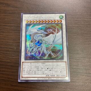 Cosmic Blazar Dragon