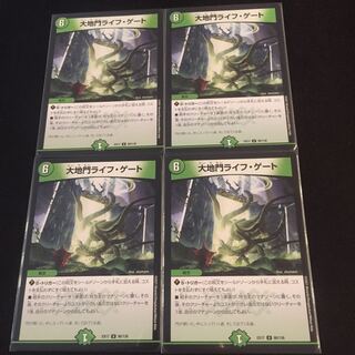 Large Gate Life Gate