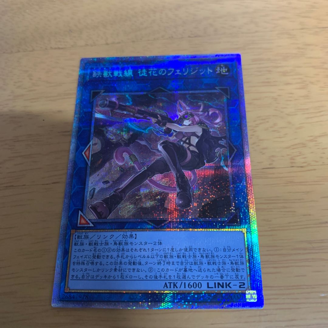 Tri-Brigade Ferrijit the Barren Blossom on display until today