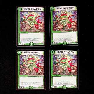 DM Pure White Eye Rabbi Kateron Common, set of 4 (2)