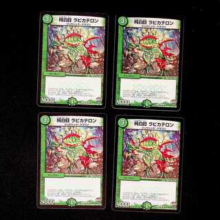 DM Pure White Eye Rabbi Kateron Common, set of 4 (3)