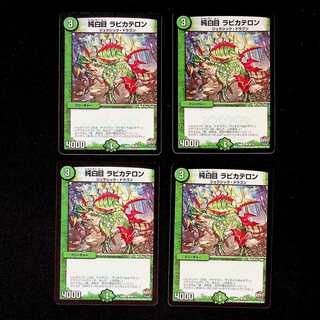 DM Pure White Eye Rabbi Kateron Common, set of 4 (4)