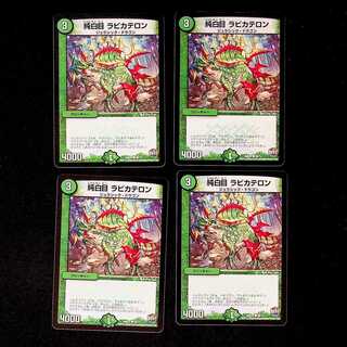 DM Pure White Eye Rabbi Kateron Common, set of 4 (5)