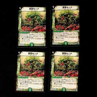 DM Senia, Orchard Avenger Common, set of 4