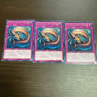 バージェストマ・ピカイア