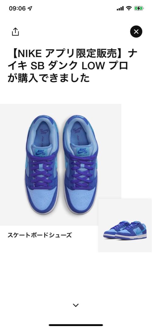 Nike SB Dunk Low "Blue Raspberry" 27.5cm
