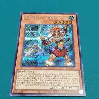 Warrior Chief of Amazones (Secret)