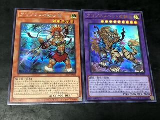 Yu-Gi-Oh Amazoness Tiger Lion King Ultra Amazoness Warrior Chief Secret