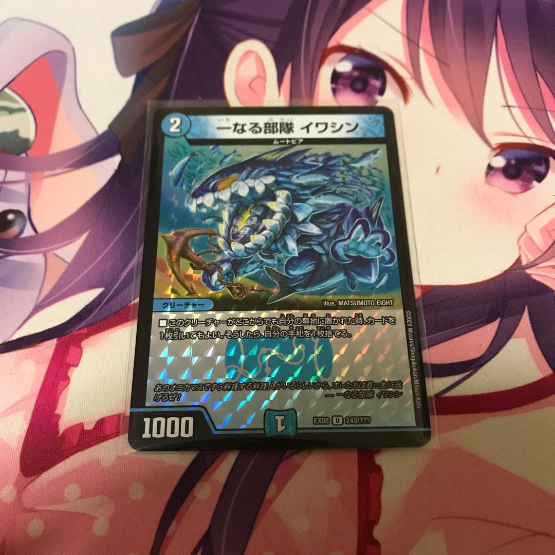 一なる部隊 イワシン