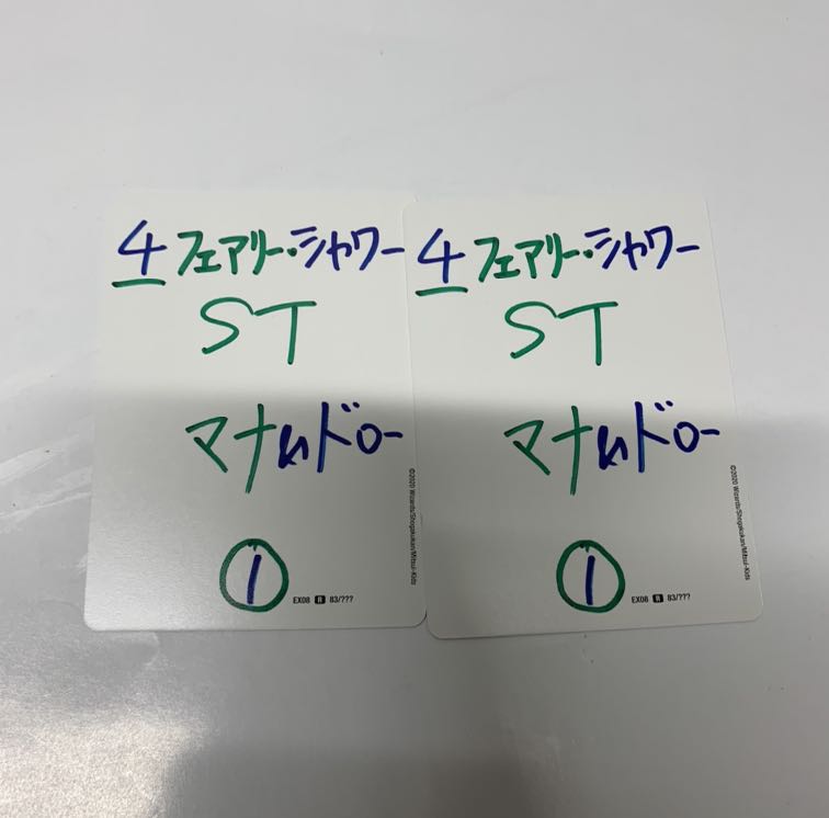 フェアリーシャワー2枚セット