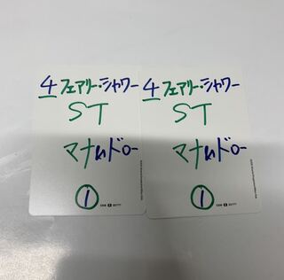 フェアリーシャワー2枚セット