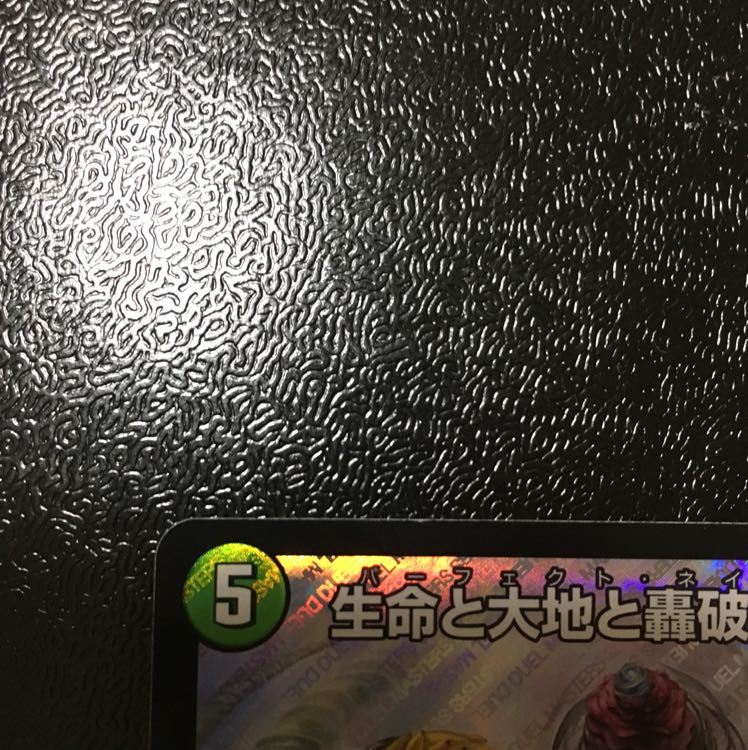 パーフェクトネイチャー