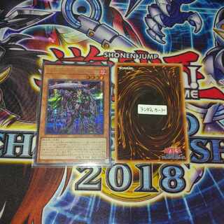 (SEC: State A-) Scarecrow Reichhardt