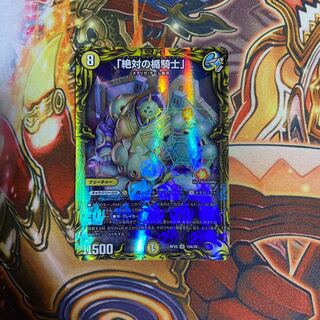 Absolute shield knight" (20th rare spec.)