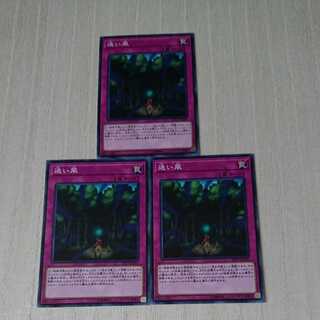 迷い風 ノーマル 3枚