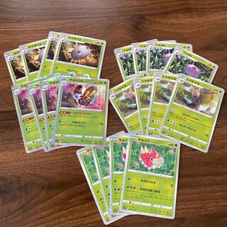 Wurmple Beautifly Dustox Evolution Line