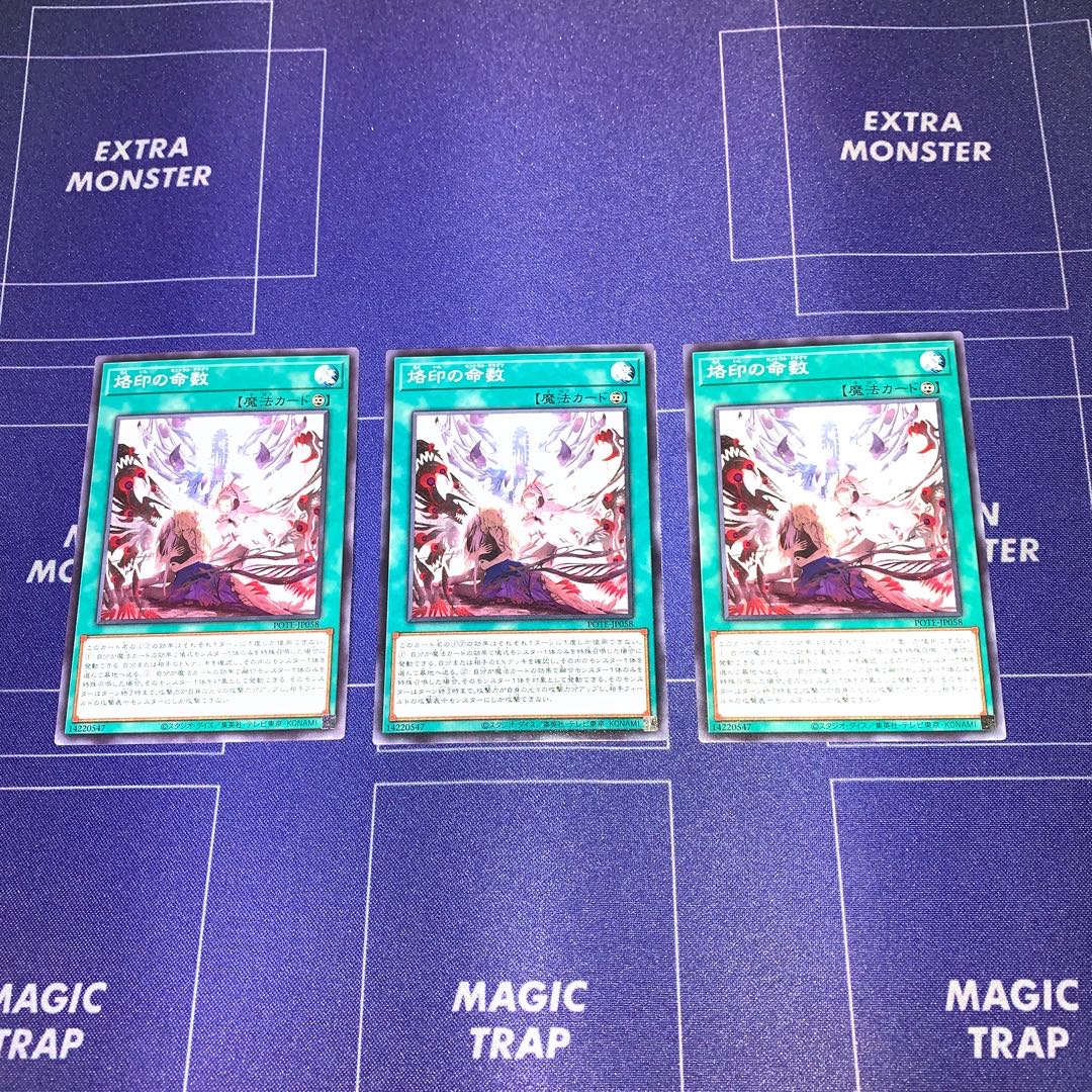 Branded Lifetimes Set of 3