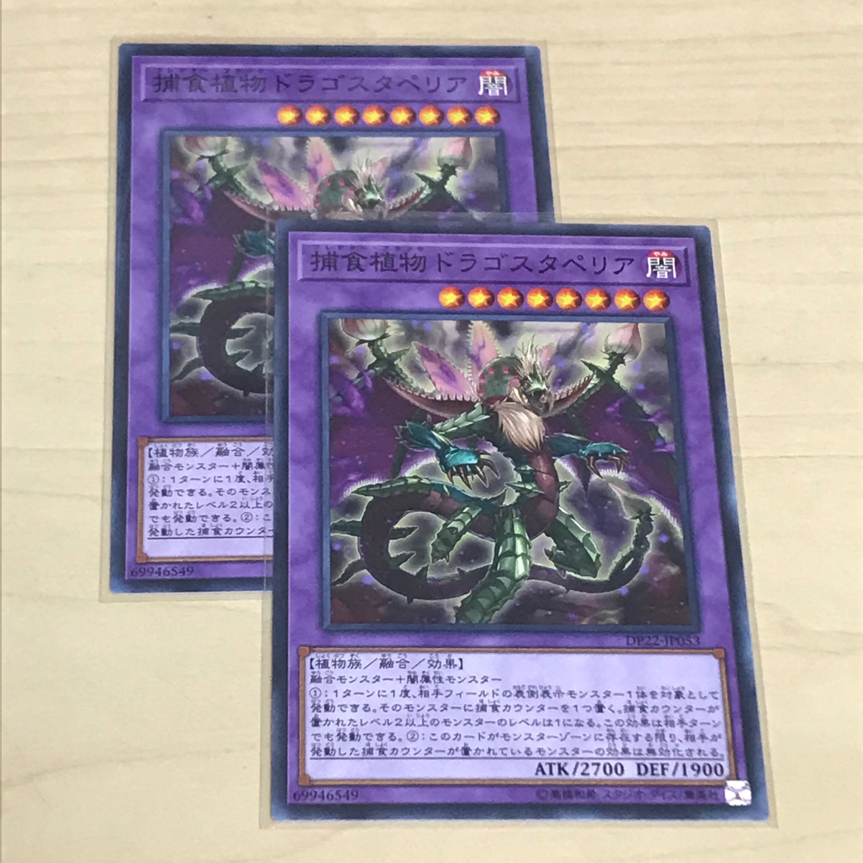 Predaplant Dragostapelia Set of 2