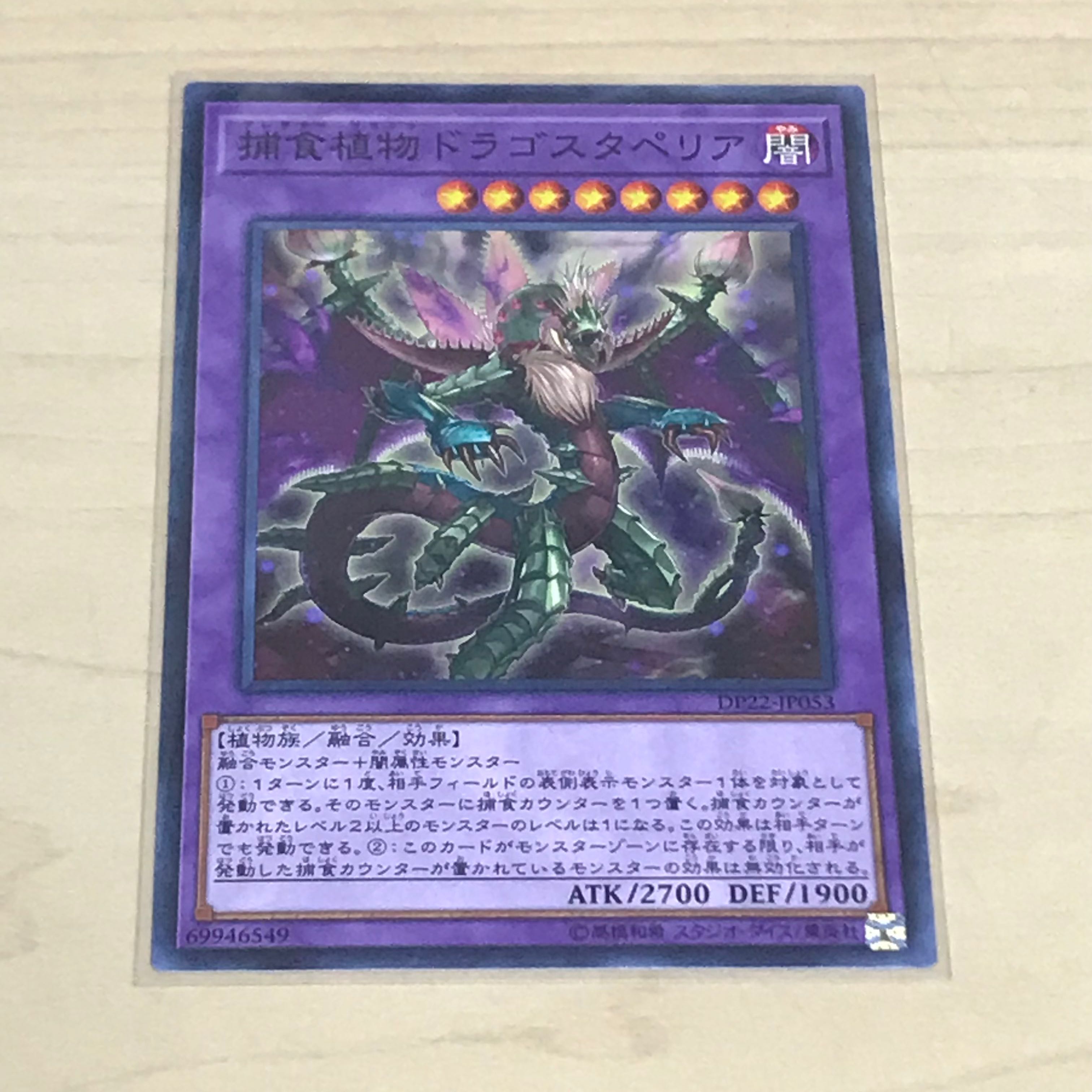 Predaplant Dragostapelia Set of 2