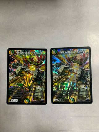 Wachagona, soul friend of the chief, set of 2