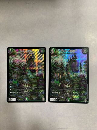 マテン龍樹　2枚セット