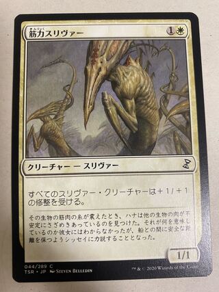 筋力スリヴァー