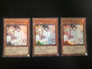 Ash Blossom & Joyous Spring