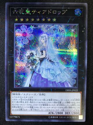 六花精ティアドロップ　SE