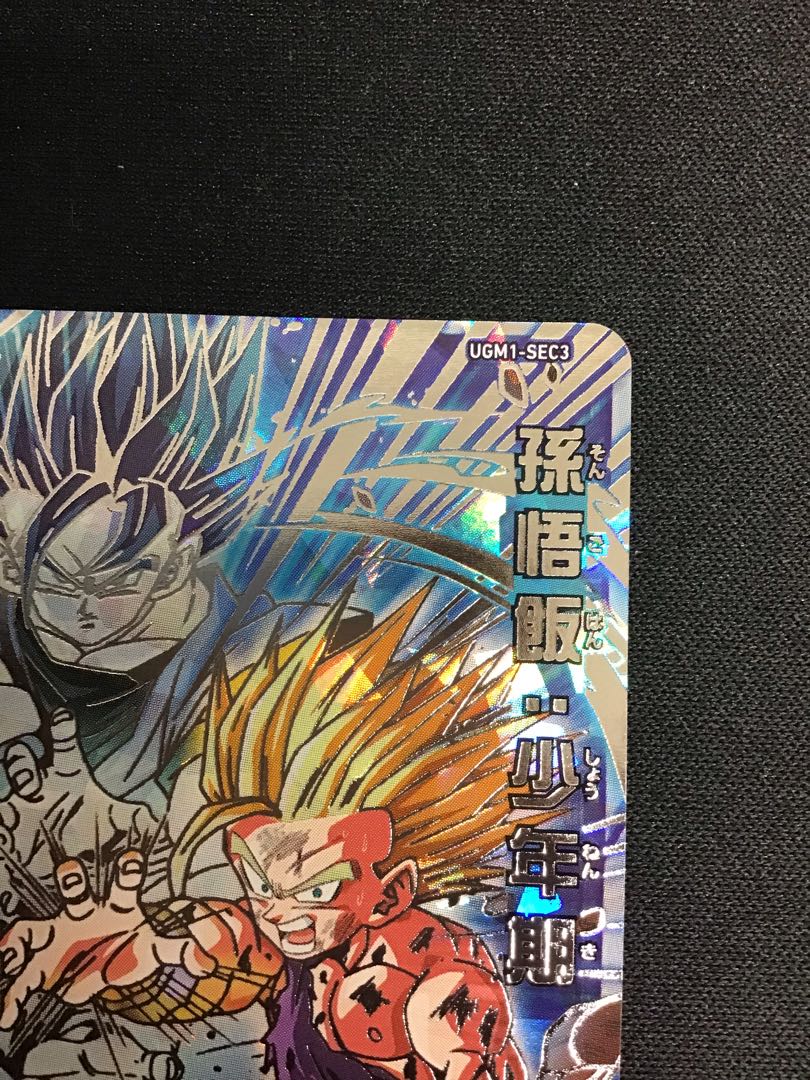 Son Gohan Boyhood UGM1-SEC3