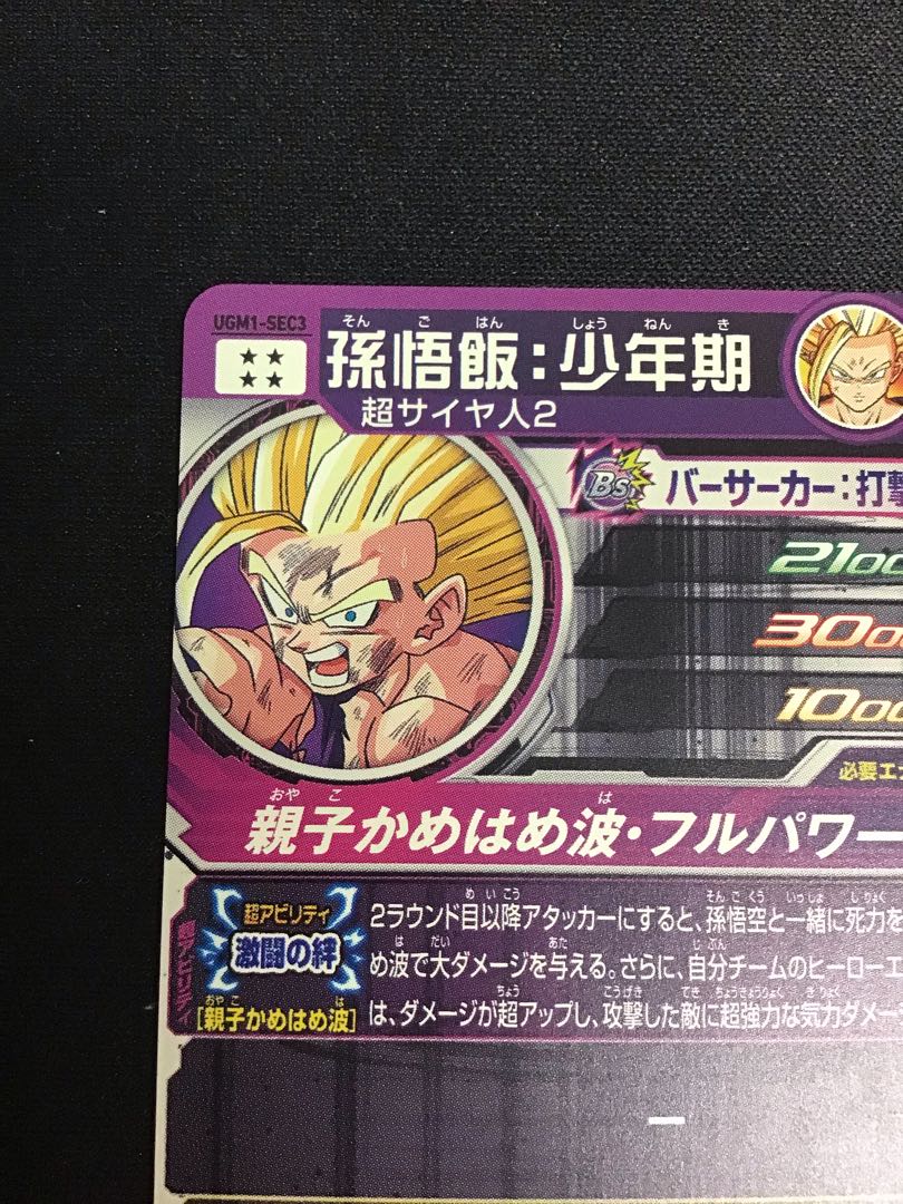 Son Gohan Boyhood UGM1-SEC3