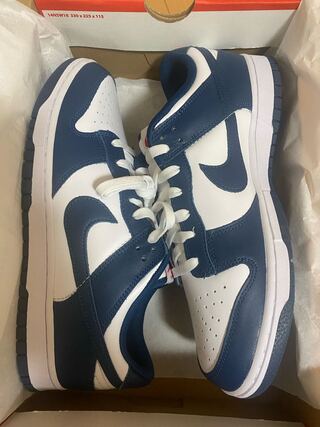 nike dunk low retro valerian blue 28.5cm