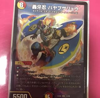 ハヤブサリュウ