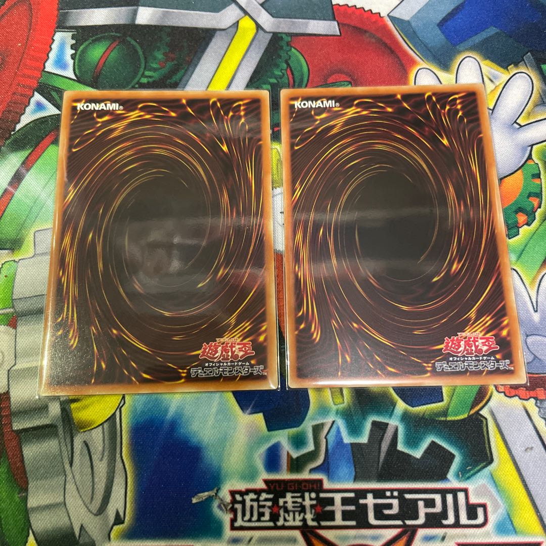 Dragon Rosa Dona Sally