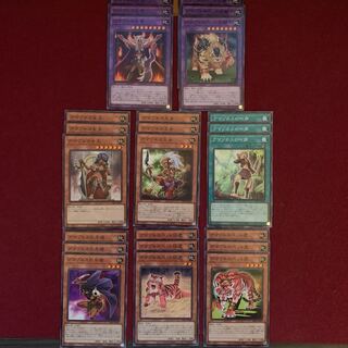 Amazones Deck Parts Normal 24-card set