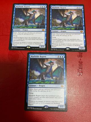 濁浪の執政 英語版 2枚