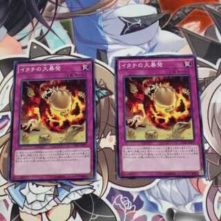 イタチの大暴発セット