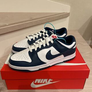 Nike Dunk Low Valerian Blue 28cm