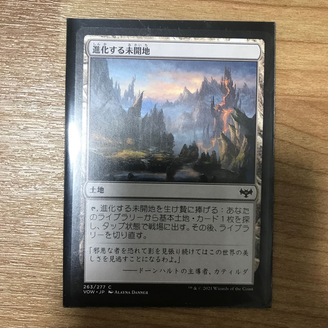 MTG Land